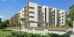 DS JAKS Constructions DS JAKS Needs – 3